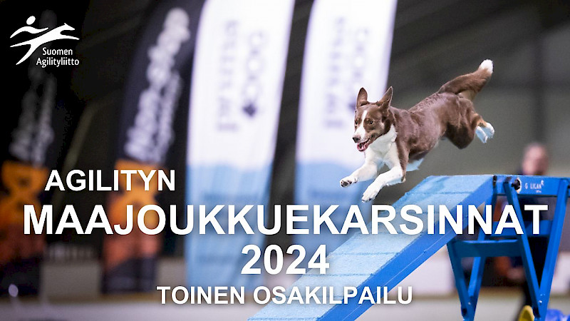 Kuva: Jukka Pätynen/koirakuvat.fi