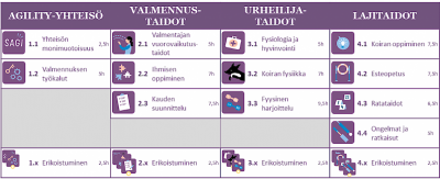 agilityvalmentaja